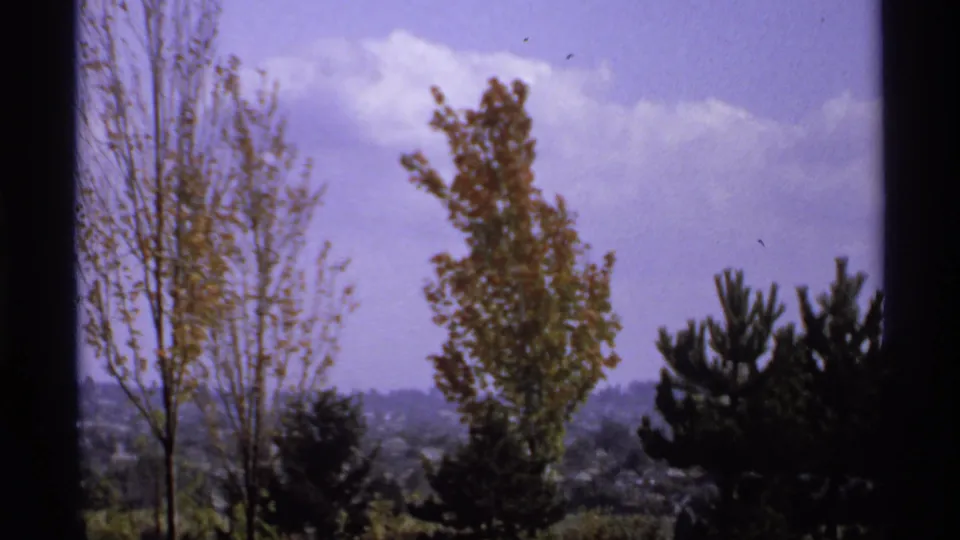 1974 Canadian 8mm frame with tall trees, darker foreground foliage, and a soft purple-blue sky beyond the porch.