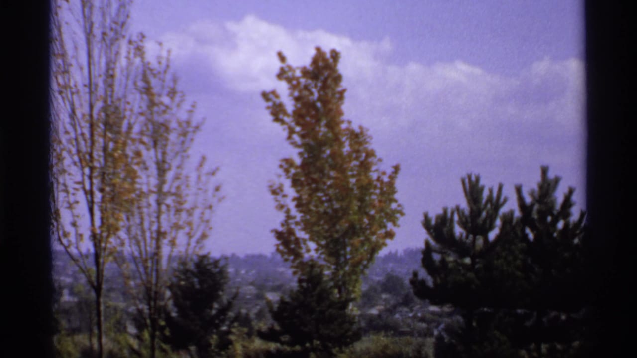 Trees and distant greenery seen through dark vertical window-like framing.