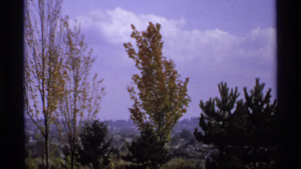 1974 Canadian 8mm frame showing tall trees, distant park greenery, and a purple-blue sky seen through dark vertical framing.