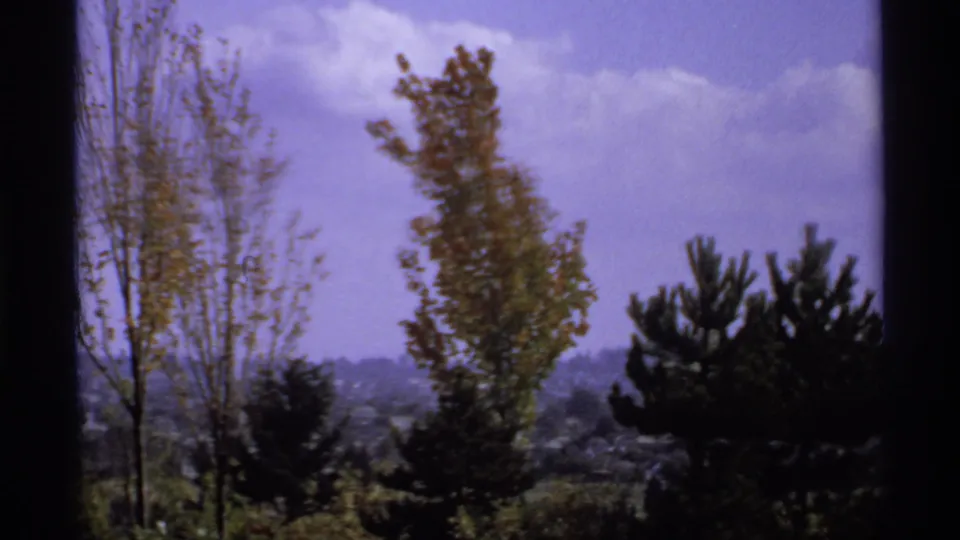 A soft 8mm view of trees and distant Canadian park landscape under a purple-blue sky, framed by dark vertical borders.