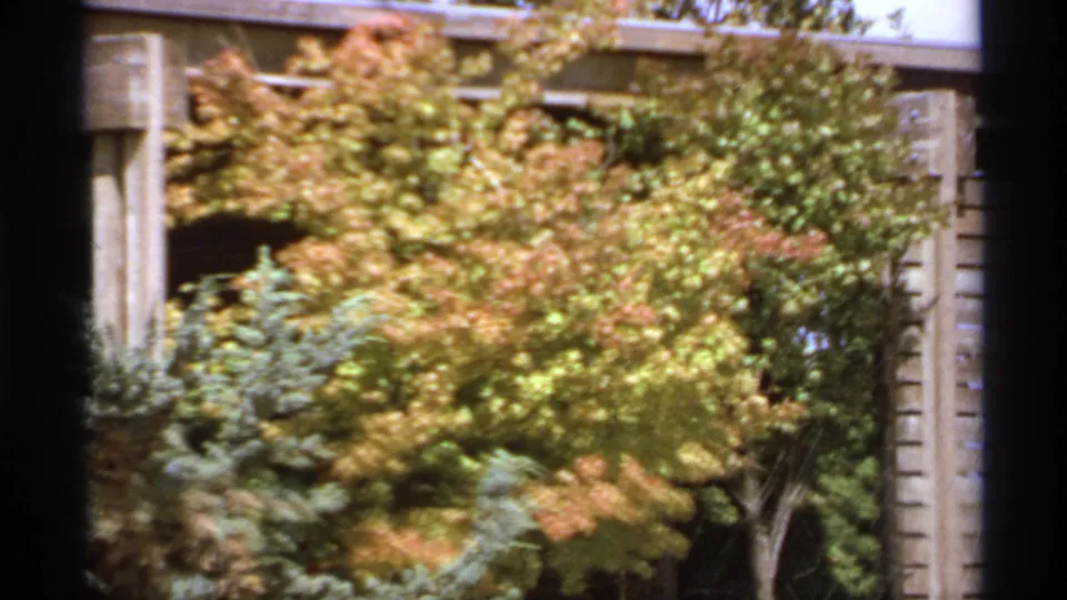 Soft 1974 Canadian 8mm frame with autumn trees and evergreens near a wooden backyard structure.