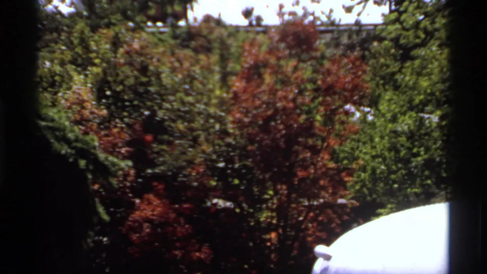 1974 Canadian backyard view with red-green foliage and a partial parked white car at frame edge.