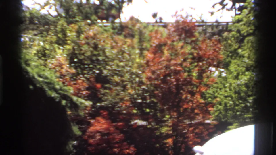 1974 Canadian home-movie frame of sunlit autumn foliage, with dark window or frame edges cutting into the view.