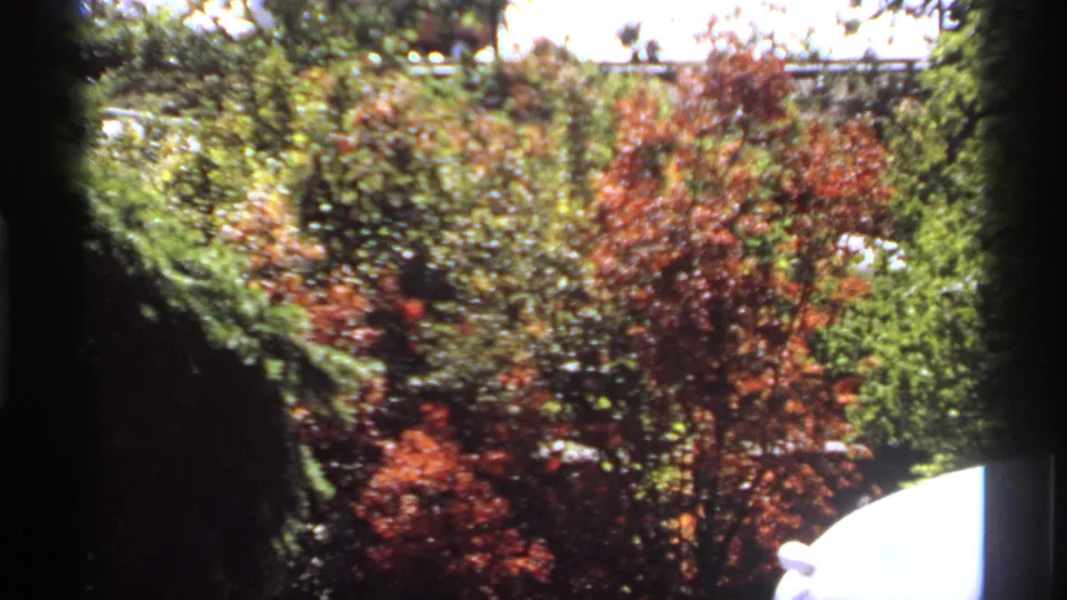 1974 Canadian 8mm frame with dense autumn foliage, dark framing, and a bright curved object at the lower right.