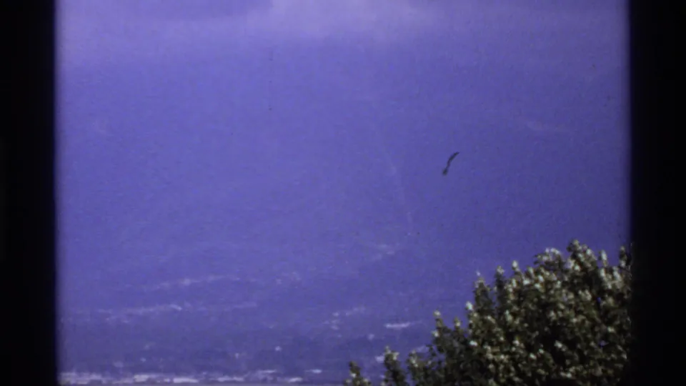 1974 Canada 8mm frame of a hazy summit outlook, with soft distant landscape and dark green treetops in the foreground.