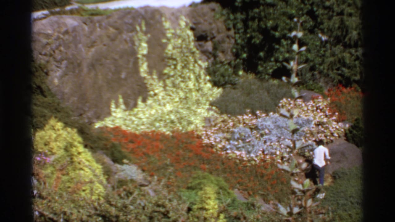 Colorful garden with rock face, flowering plants, shrubs, and a person in a white shirt.