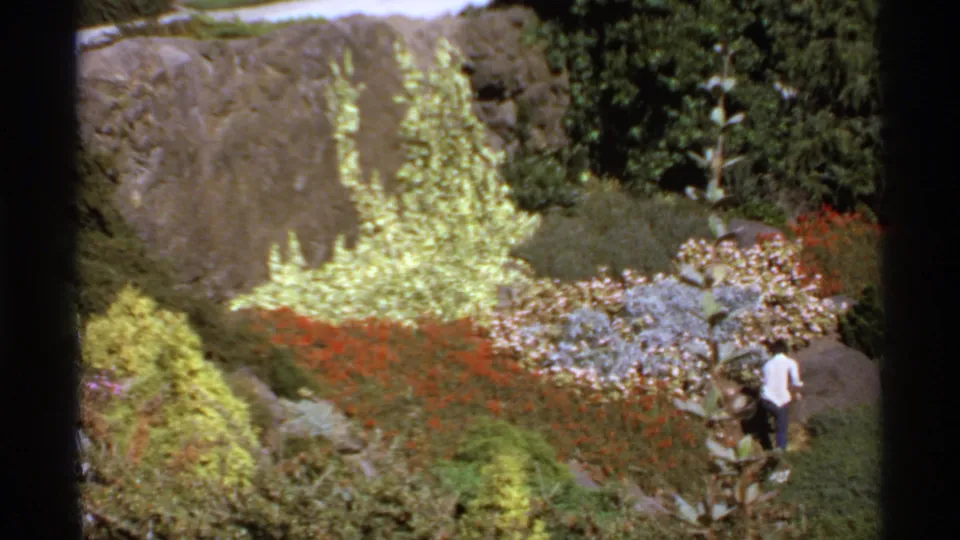 1974 Canada home-movie frame showing a colorful garden below a rock face, with one distant person walking among flowers and shrubs.