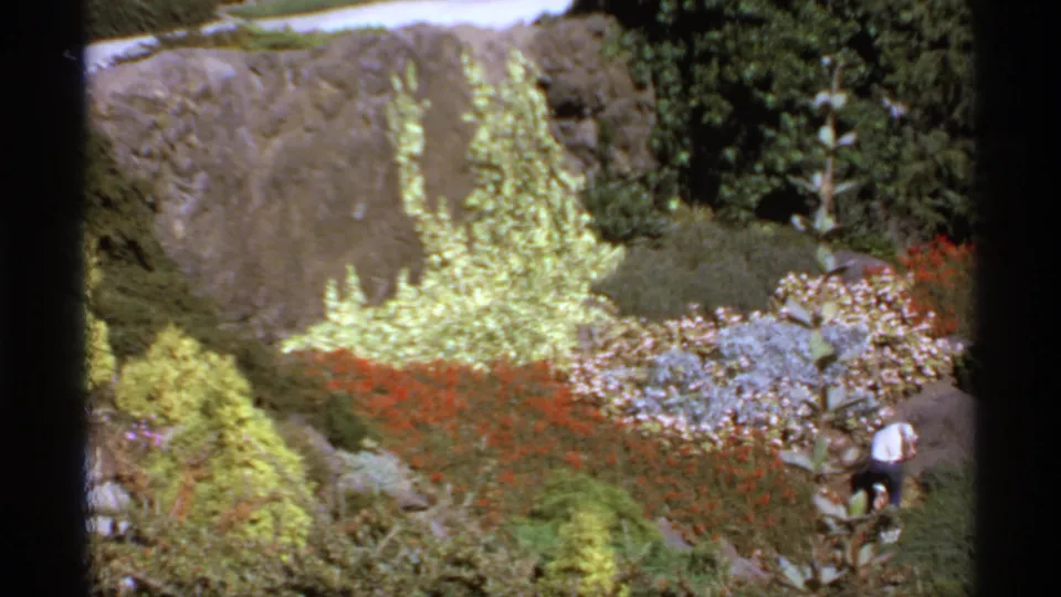 1974 Canada home-movie frame of a rock garden with red and white flowers, green shrubs, and a distant person at the right edge.