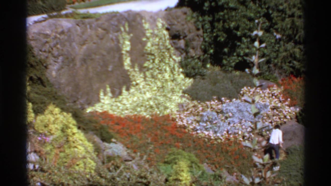 Distant person walking through a bright garden with flower beds, rocks, shrubs, and a stone border.
