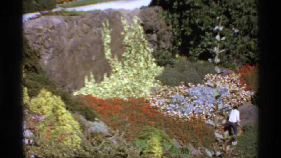 1974 Canadian 8mm frame of a distant walker in a landscaped garden with colorful plantings, rocks, and dense greenery.