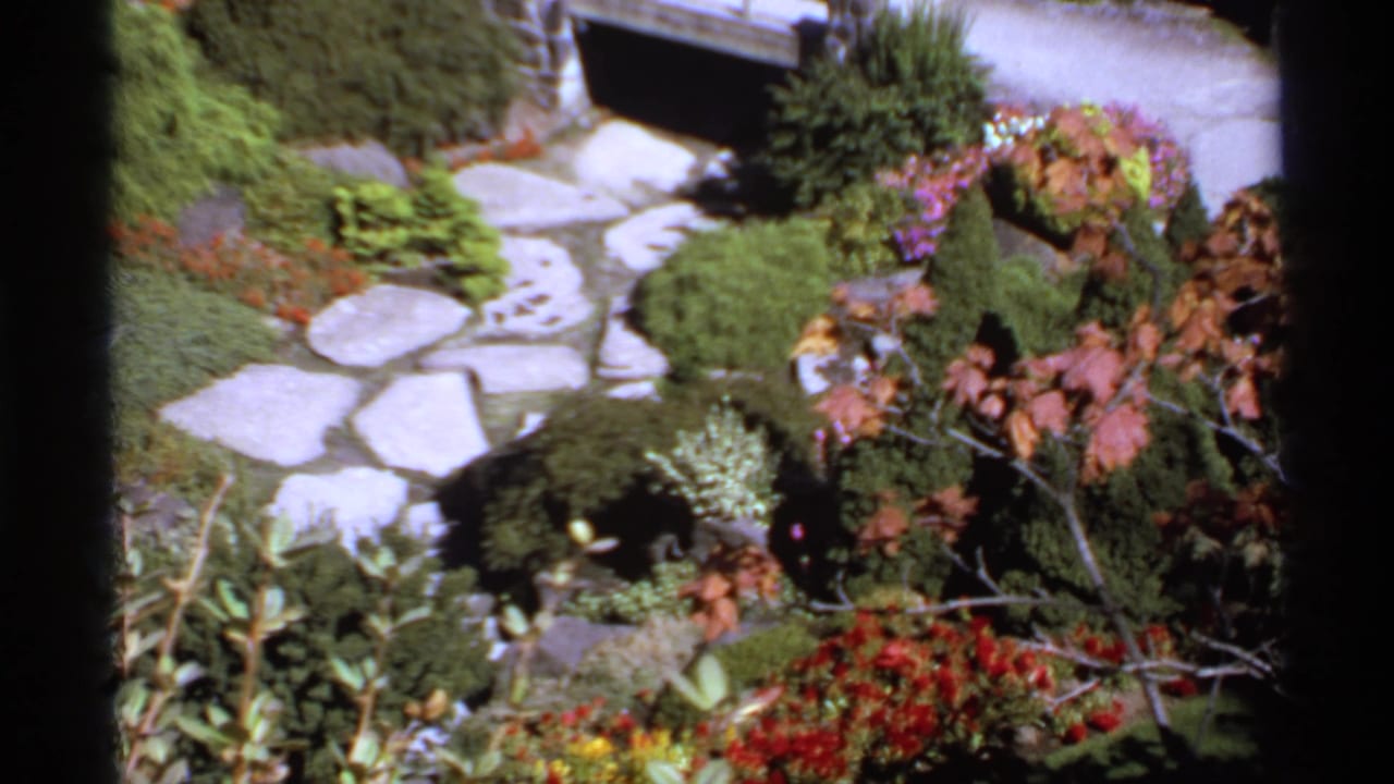 Stone garden path curves past shrubs, flowers, rocks, and a shaded step or bridge area.
