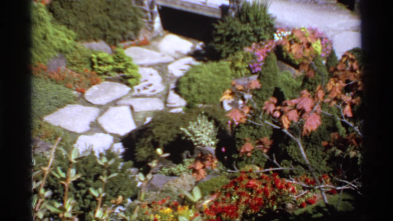 Stone garden path winding past shrubs and red-purple flower beds.