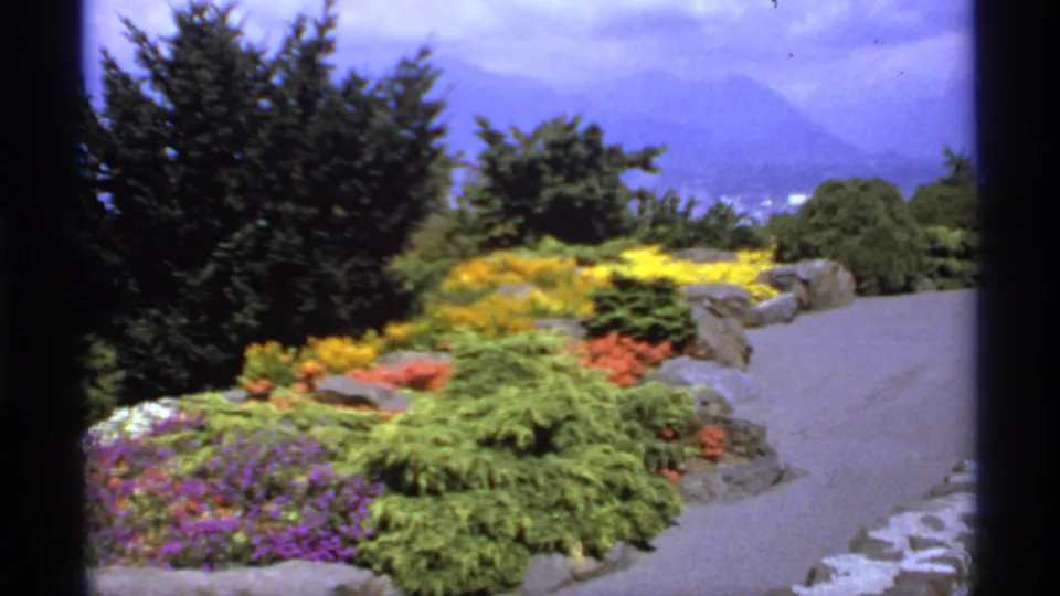 Vintage 8mm garden scene in Canada, showing flower beds, shrubs, a paved path, trees, and hazy mountains in the background.
