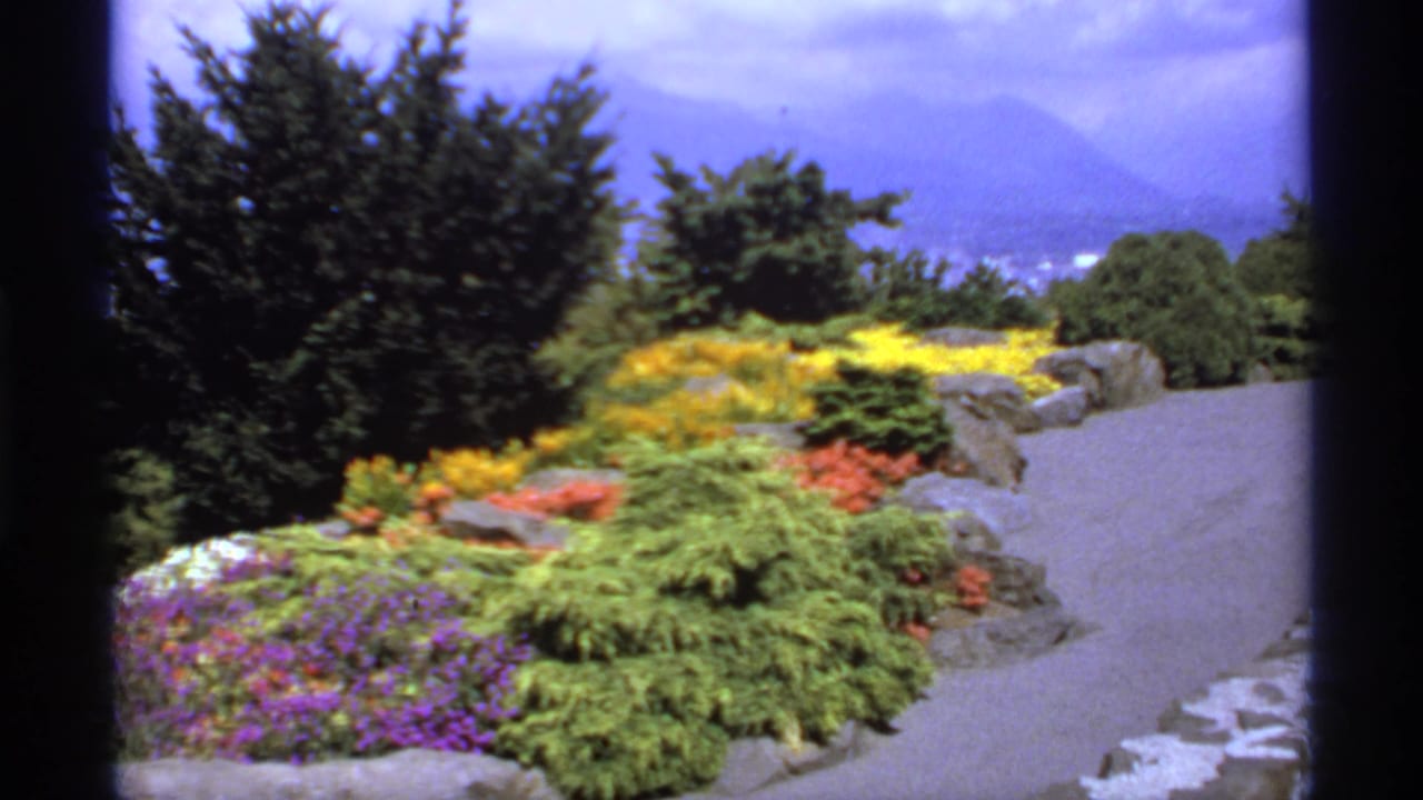 Colorful garden beds and a paved path with trees and distant mountains behind them.