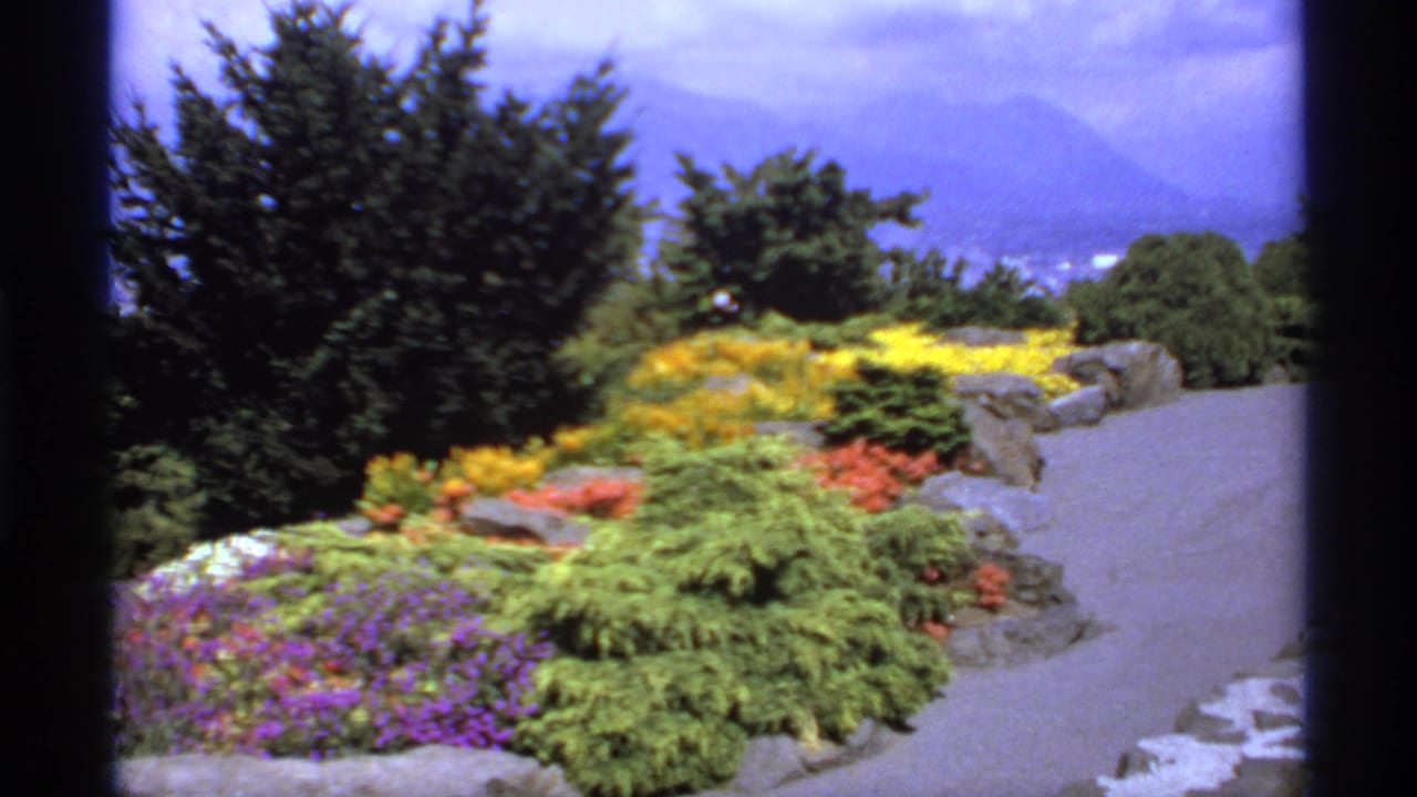 Garden path bordered by bright flowers, shrubs, rocks, trees, and distant mountains.