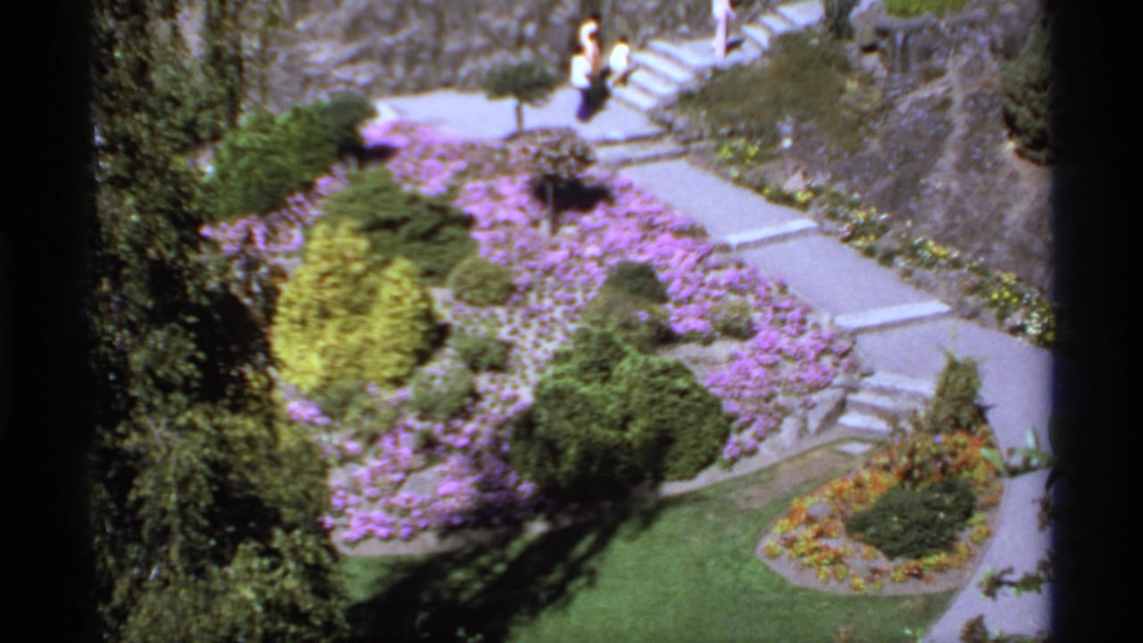 Elevated view of purple flowerbeds, shrubs, lawn, stone paths, and distant visitors.