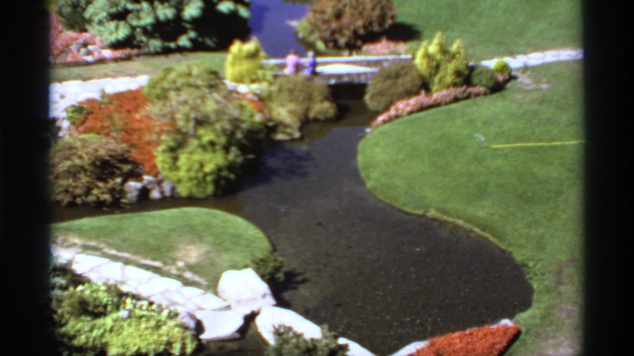 Landscaped garden with brook, lawn, shrubs, and a small bridge in the distance.