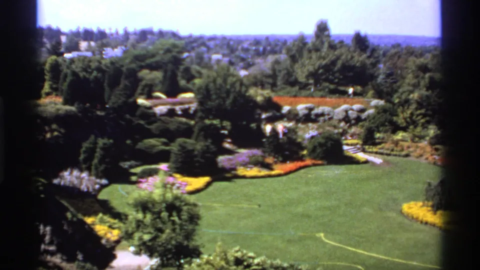 1974 Canadian home-movie frame of a landscaped garden, with a sweeping lawn, yellow and purple flowerbeds, paths, and distant homes.