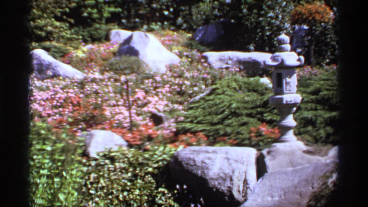 Stone lantern among rocks, shrubs, and pink flowers in a sunny garden.