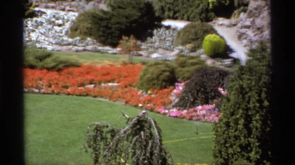 1974 Canadian 8mm view of a manicured garden with red flower beds, clipped shrubs, stonework, lawn, and a path seen through dark frame edges.
