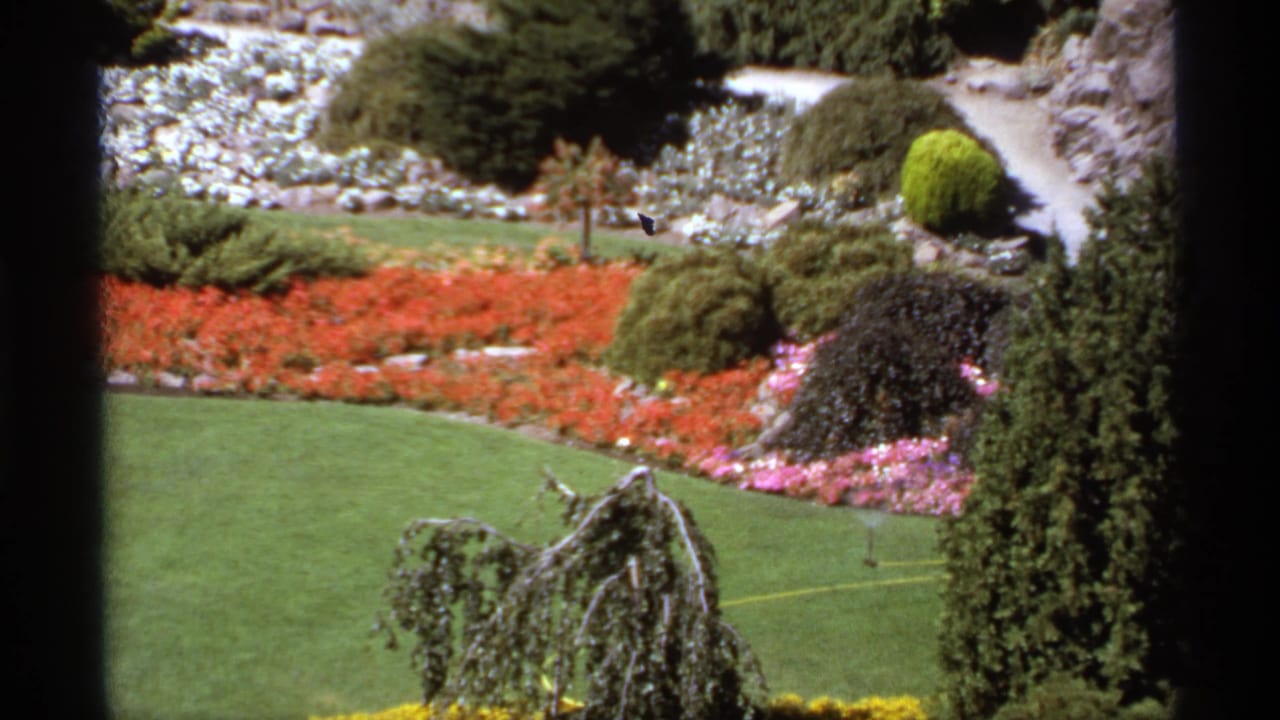 Garden beds and lawn with shrubs, stonework, paths, and dark vertical framing.
