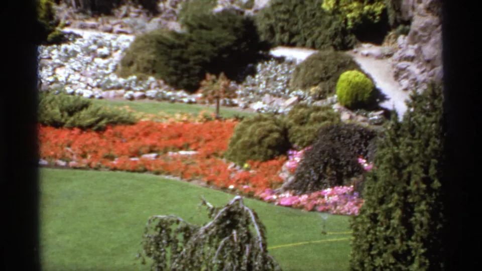1974 Canadian 8mm view of a formal garden, with red blooms, green grass, clipped shrubs, a stone retaining wall, and a curving path.