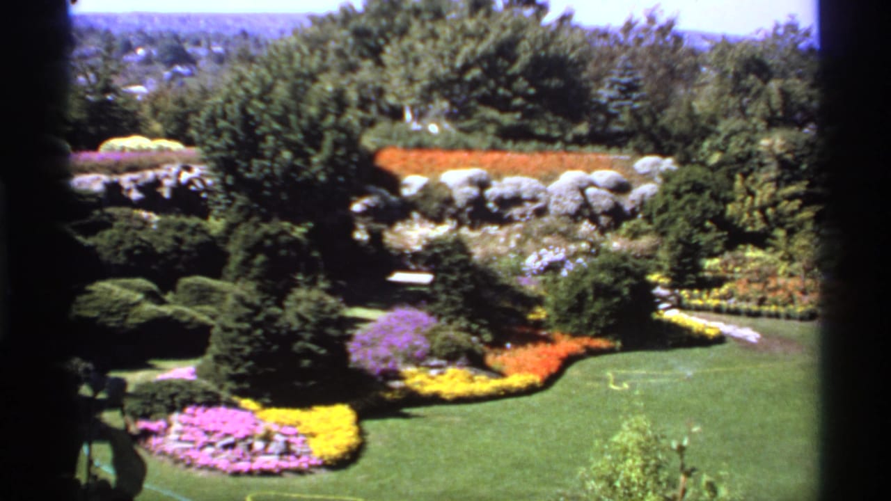 1974 Canadian 8mm frame of a landscaped garden with bright flowerbeds, trimmed lawn, shrubs, mature trees, and a stone retaining wall.