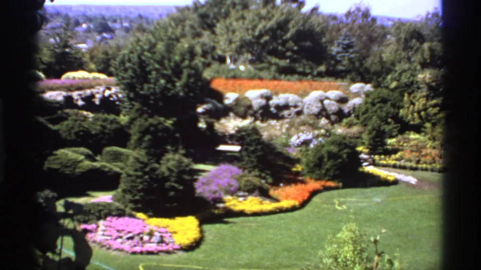 1974 Canadian home-movie frame showing a maintained garden with curved flowerbeds, green lawn, shrubs, trees, and stone retaining wall.