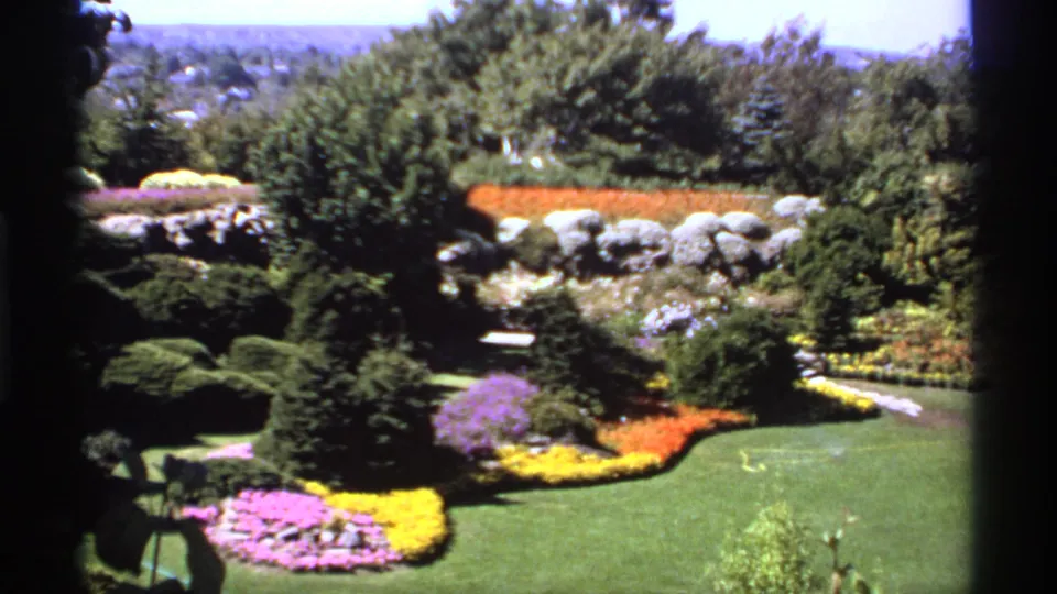 1974 Canadian 8mm view of a tiered garden with purple, yellow, and orange flowers, shaped shrubs, lawn, trees, and stonework.