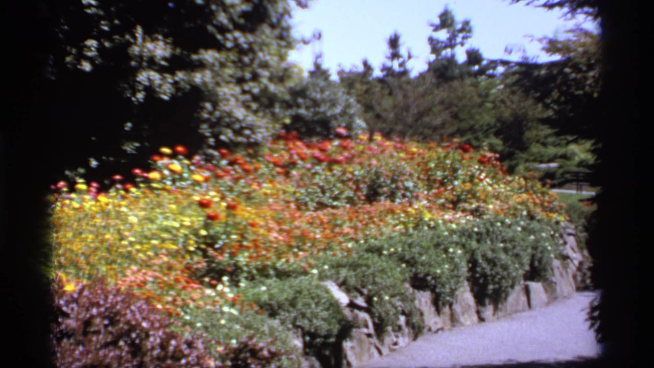 Tiered flower beds with red, yellow, and orange blooms beside a gravel path.