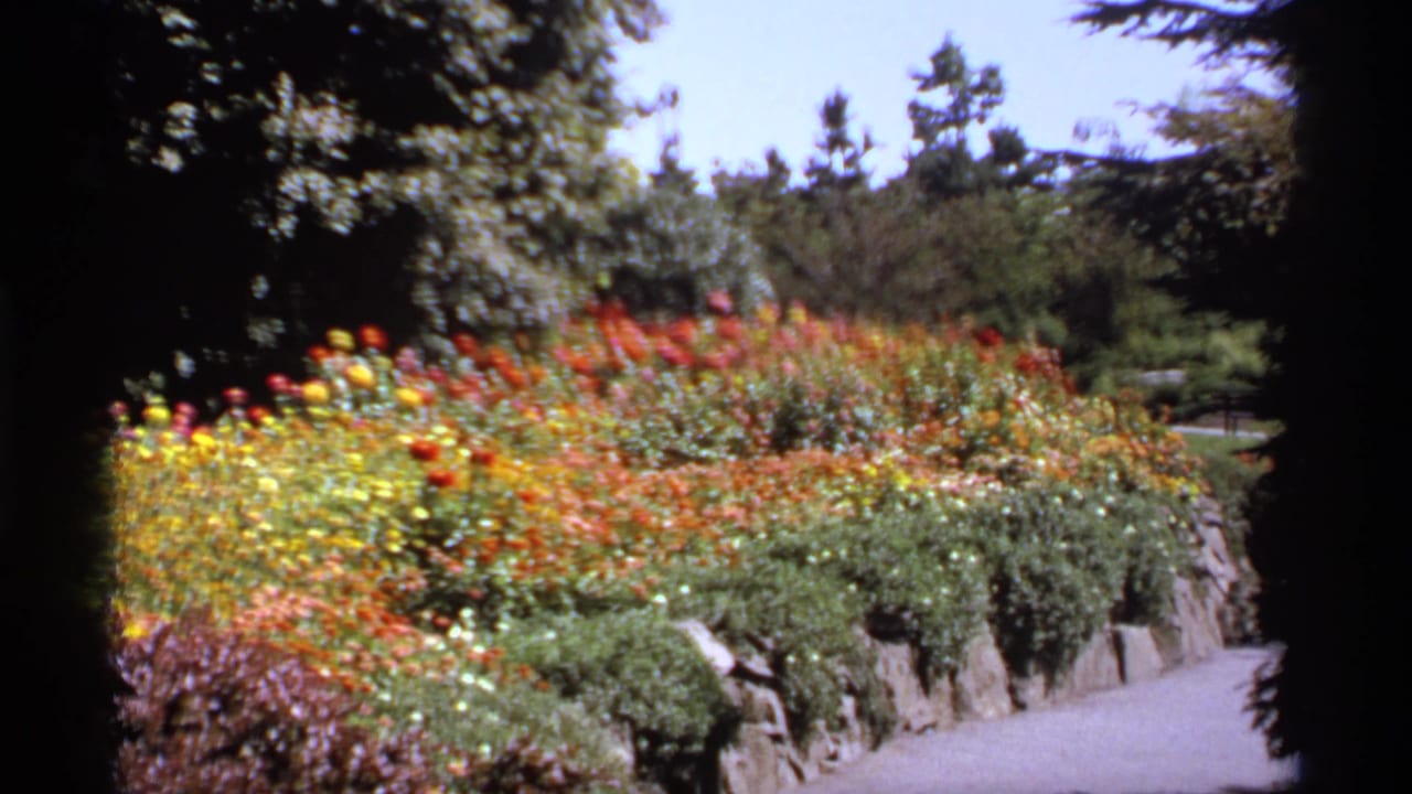 Bright flower beds and shrubs curve along a stone-edged garden path.