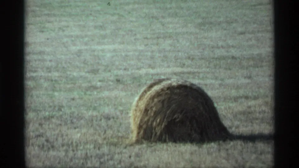 Close view of a hay bale in a rural Minnesota field, with muted 1974 8mm color and visible grain.