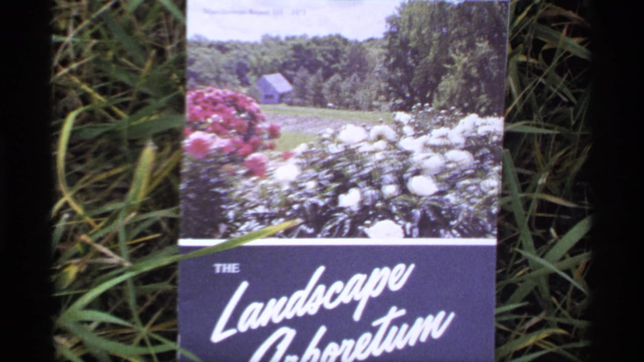 Landscape Arboretum brochure lying in grass with garden flowers pictured on the cover.