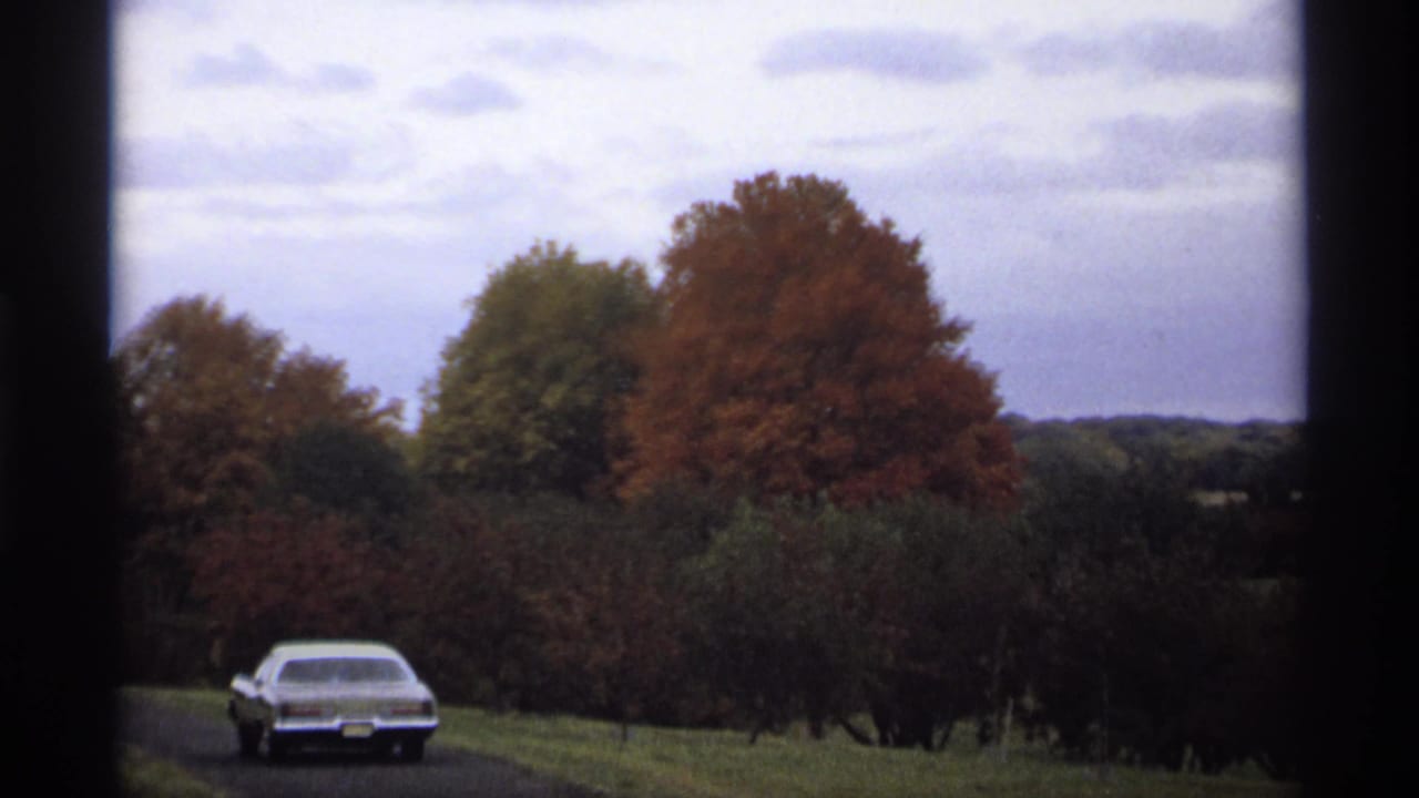 Light-colored sedan on a rural road beside autumn trees under a cloudy sky.