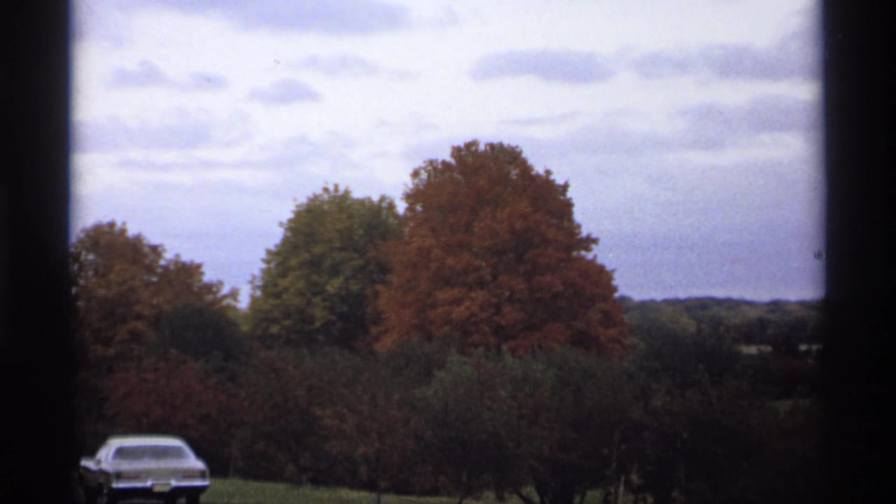Sedan partly visible near roadside trees with autumn foliage and cloudy sky.