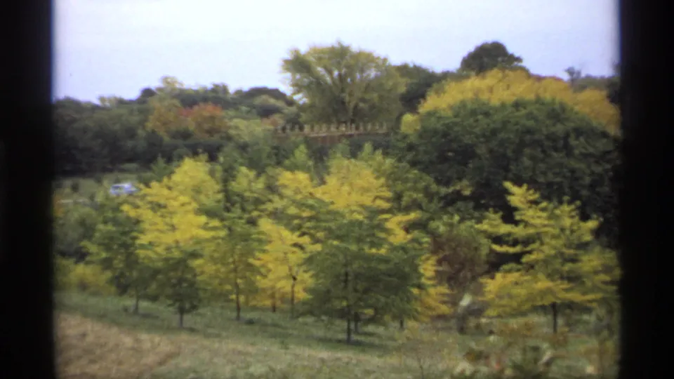 1974 Minnesota 8mm view across yellow and green fall trees on a sloped rural landscape, with a small car partly visible at left.