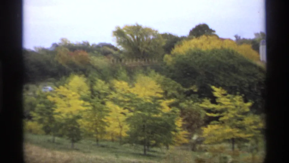 1974 Minnesota home-movie frame looking across yellow-green autumn foliage and a wooded slope through dark window-frame edges.