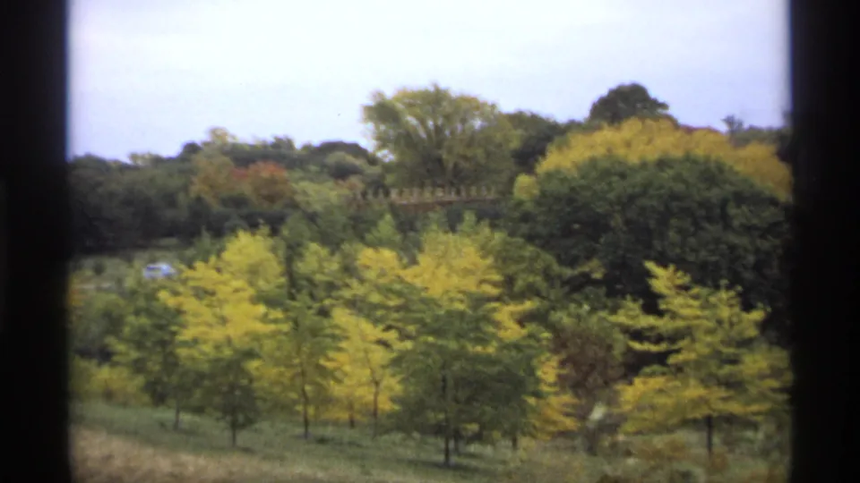 1974 Minnesota 8mm frame showing a wooded hillside with yellow and green autumn foliage under a pale sky, seen through dark frame edges.