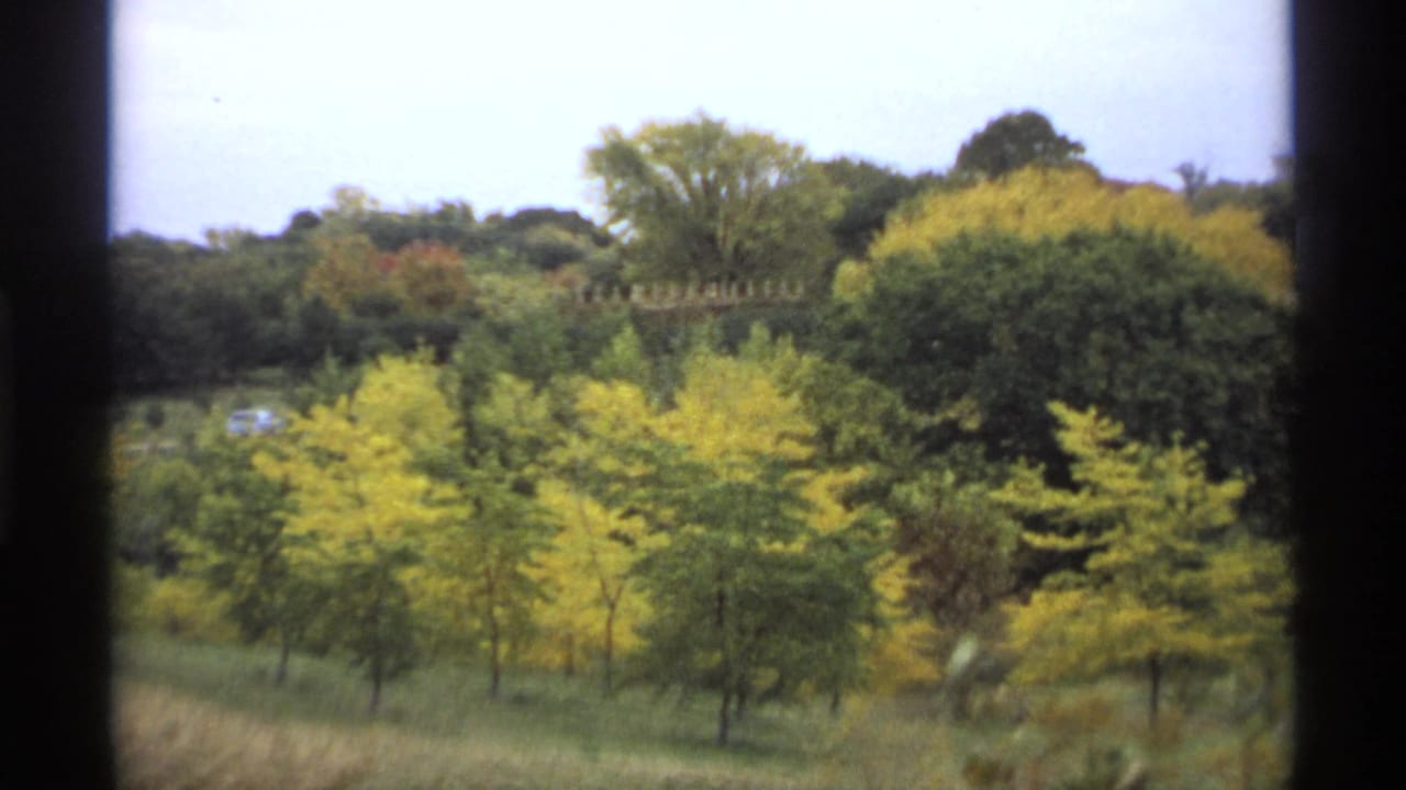 Wooded autumn slope with yellow foliage, green trees, sky, and dark frame borders.