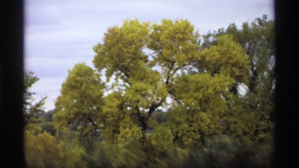 1974 Minnesota 8mm frame showing yellow-green autumn trees and soft sky, with dark vertical borders from the filmed viewpoint.