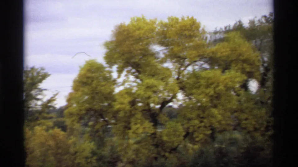 1974 Minnesota home-movie frame of yellow fall trees with a bird visible against the overcast sky and dark frame edges.