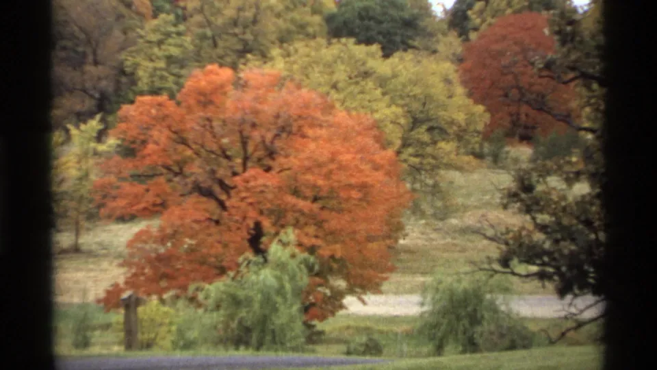 1974 Minnesota 8mm frame showing a red-orange fall tree, grass, shrubs, and a pale path in a wooded landscape.