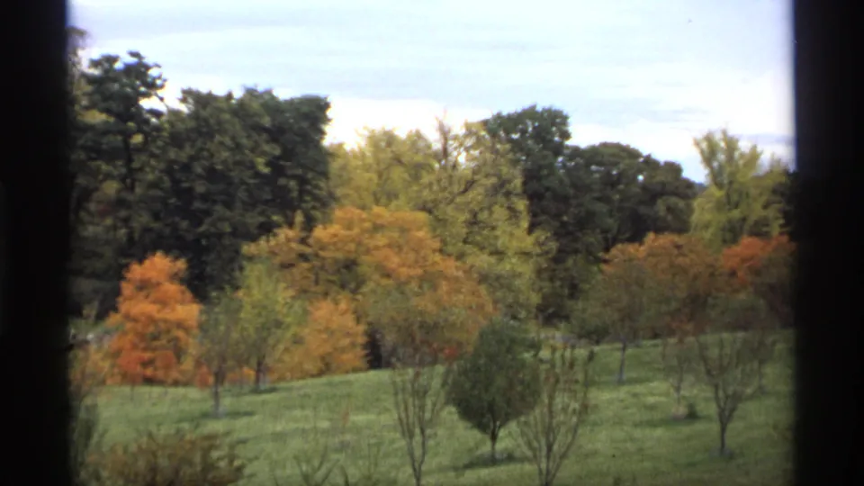 1974 Minnesota 8mm frame widening to a grassy hillside with scattered young trees, orange foliage, dark woods, and pale sky.