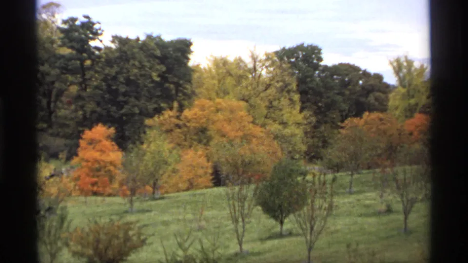 1974 Minnesota 8mm view across a grassy slope with scattered trees, orange and yellow foliage, darker woods, and soft sky.