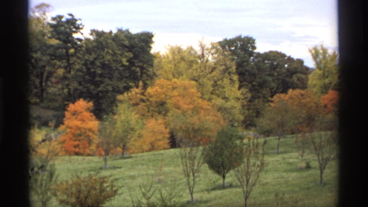 1974 Minnesota home-movie frame showing a grassy hill and autumn trees viewed through dark vertical window edges.