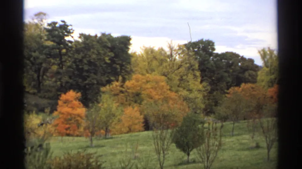 Window-framed 1974 Minnesota landscape with scattered fall trees across a gently sloping grassy hillside.