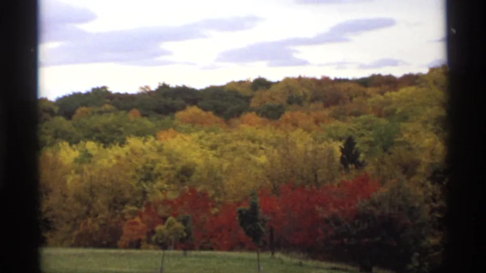 1974 Minnesota footage frames a broader wooded hillside with red, yellow, and green fall foliage under a cloudy sky.