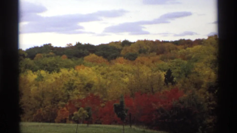 A 1974 Minnesota home-movie frame shows layered autumn foliage and a dark window edge across the wooded hillside view.