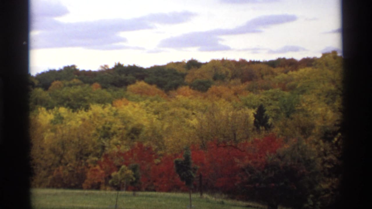 Autumn forested hill with colorful tree canopy and dark film-frame edges.