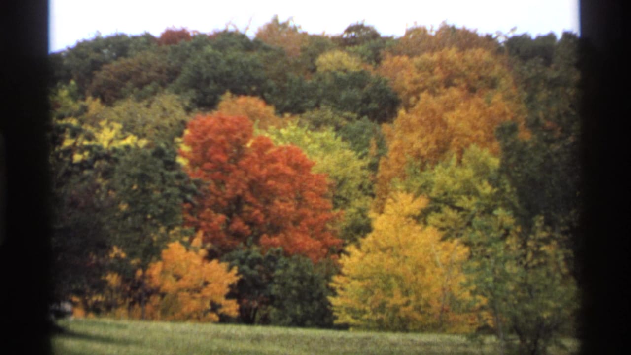 Autumn hillside with red, yellow, and green trees framed by dark window edges.